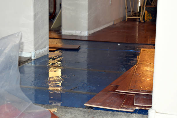 Professional Basement Flood Cleanup technician working in De Soto, MO